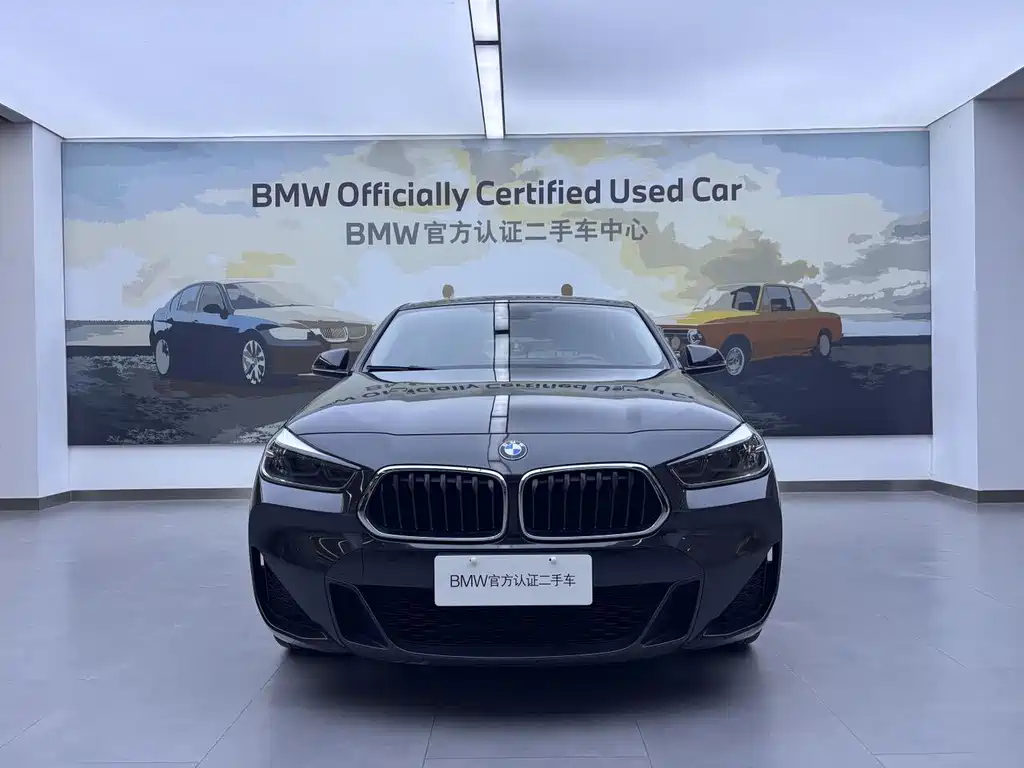 BMW X2 sDrive25 i Leading M Offroad Package