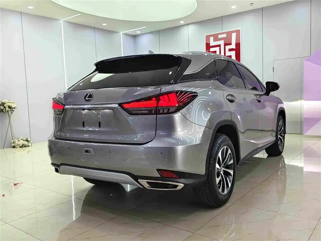 Lexus RX 300 2 WD Elite CN-VI