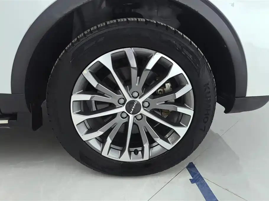 Haval H6 1.5 GDIT Auto Platinum Luxury