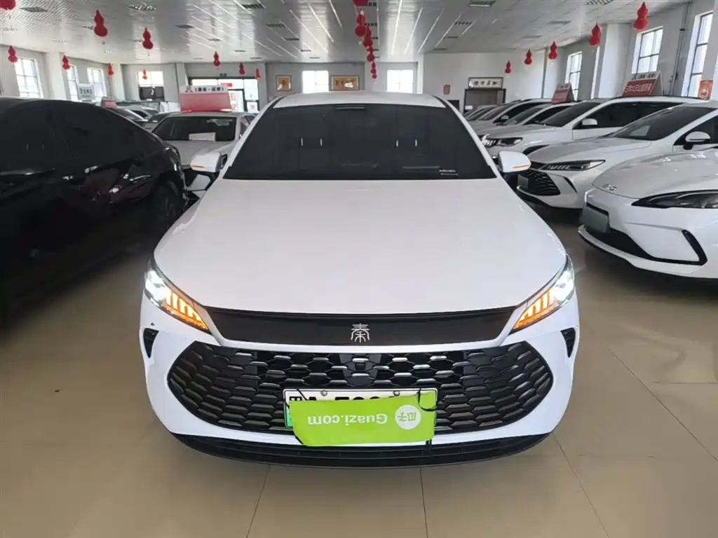 Qin PLUS DM-i Smart Drive 55 KM Leading