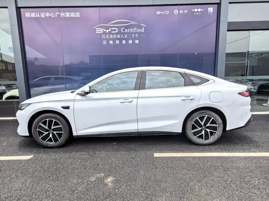 Qin L DM-i Smart Drive 120 KM Transcend