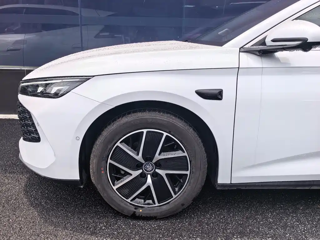 Qin L DM-i Smart Drive 120 KM Transcend