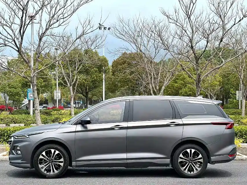 Wuling Victory 1.5 T CVT Flagship Business Cabin