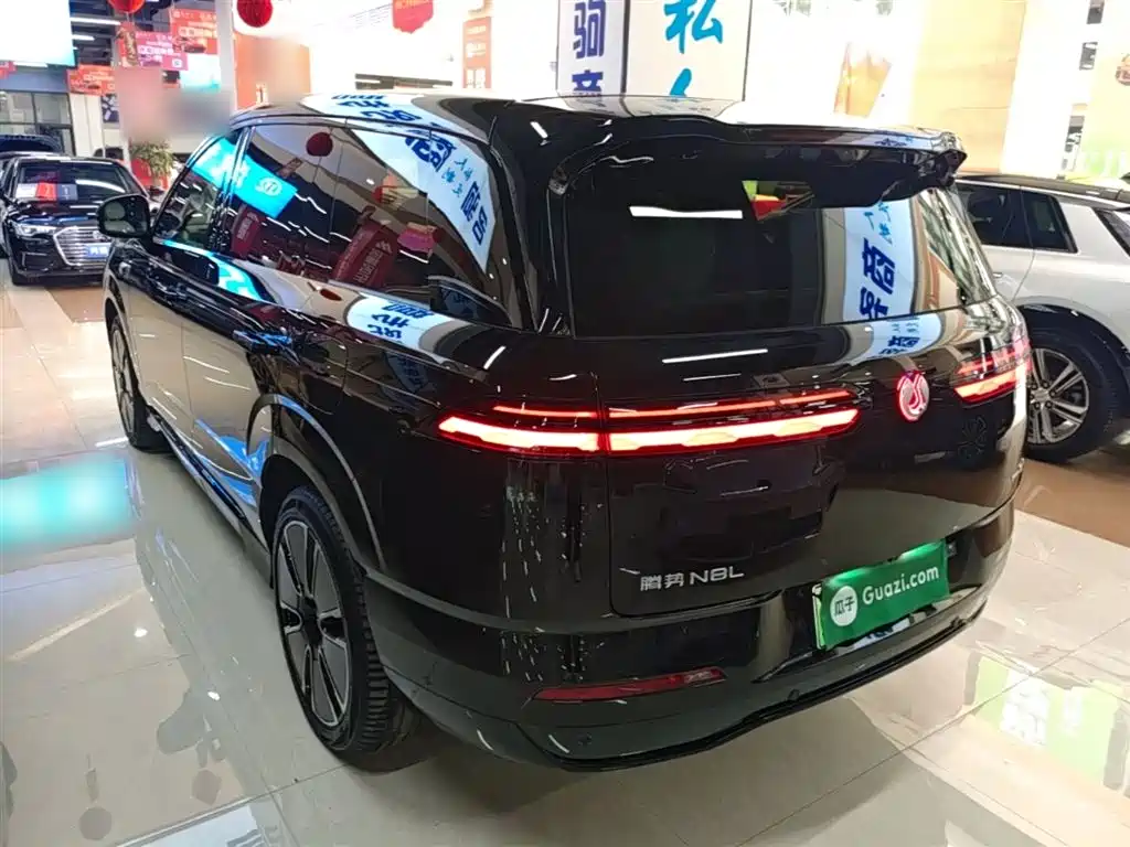 Denza N8 L Flagship