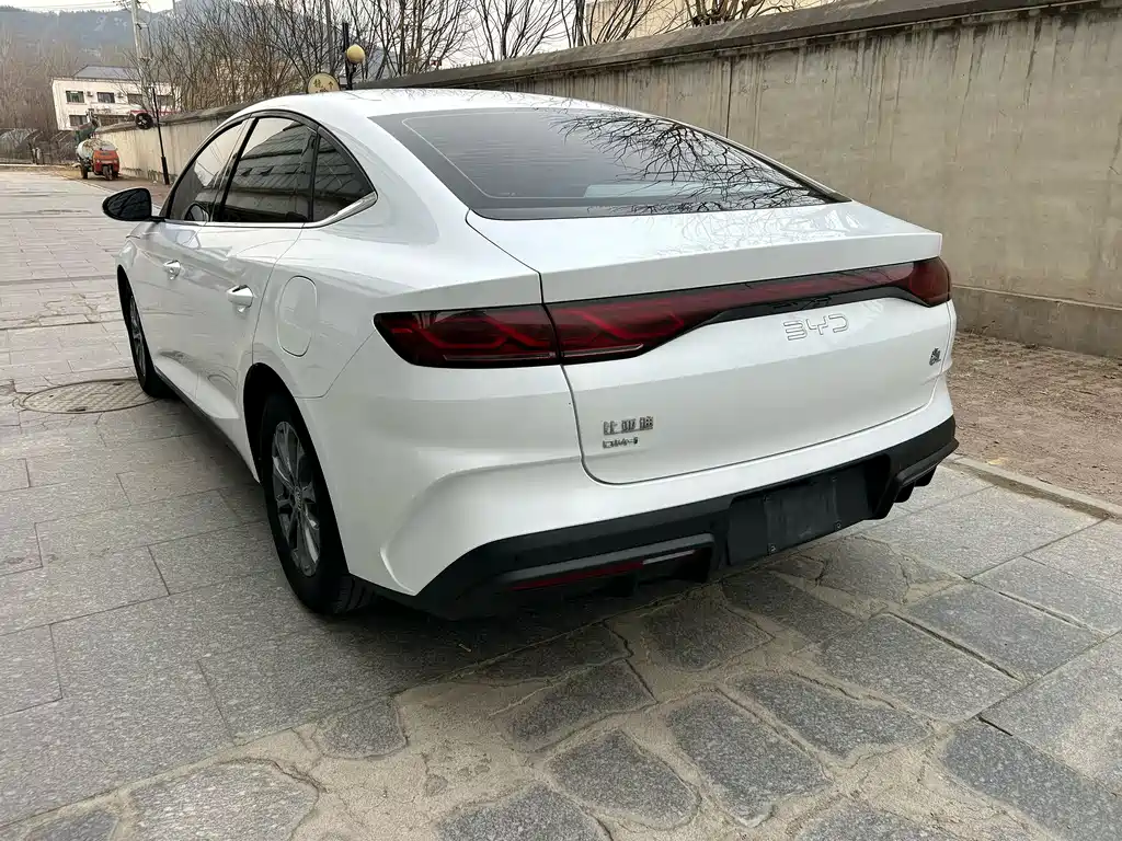 Qin L DM-i 80 KM Leading