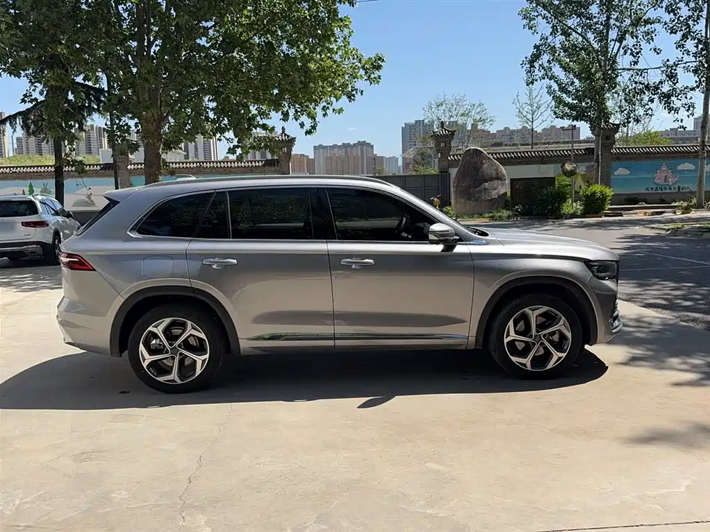 Xingyue L 2.0 TD DCT EVO 2 WD Long Wind