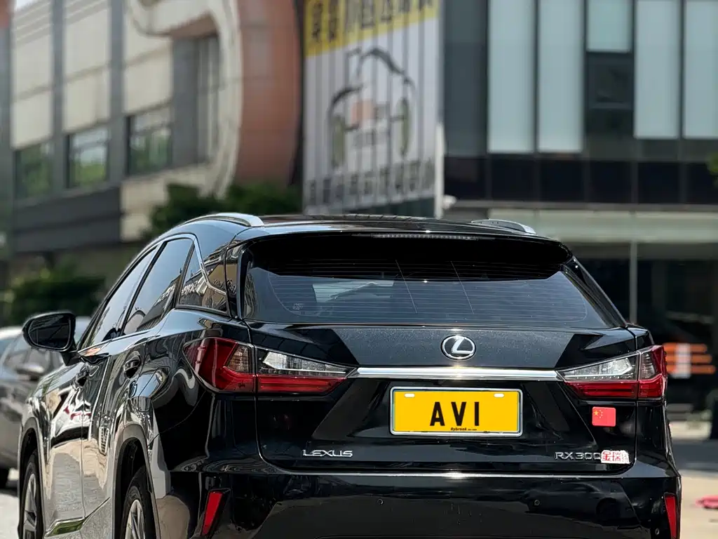 Lexus RX 300 2 WD Elite CN-VI