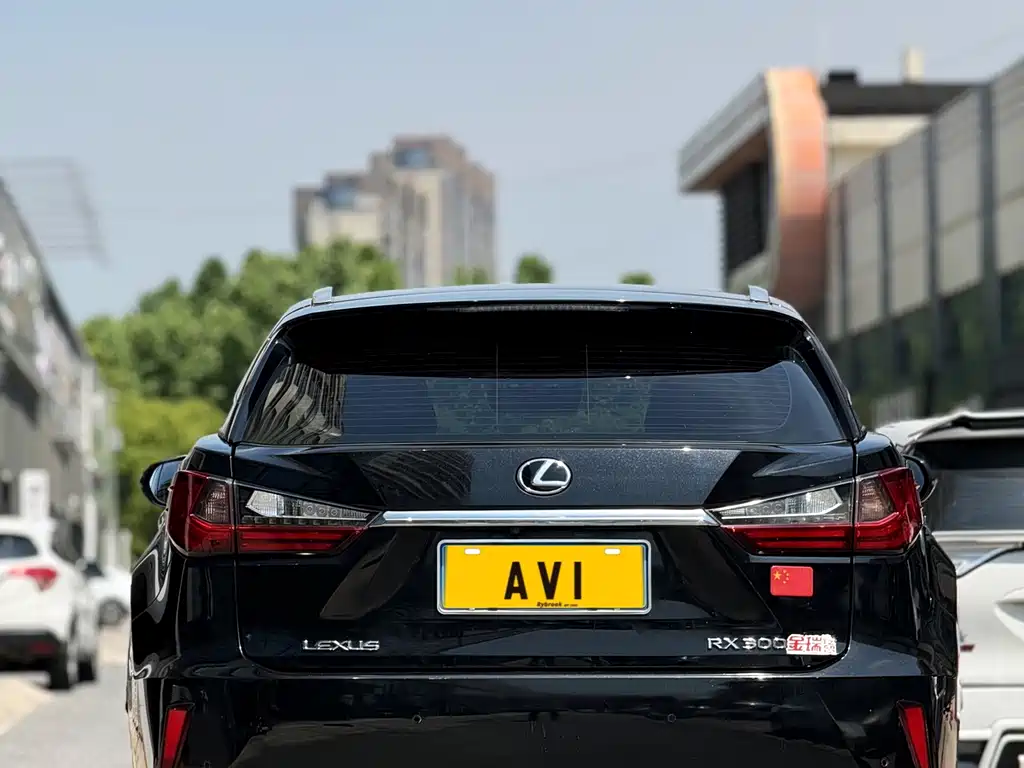 Lexus RX 300 2 WD Elite CN-VI