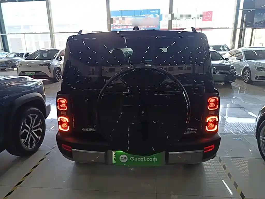 Haval Menglong NEV Hi4 102 Explorer