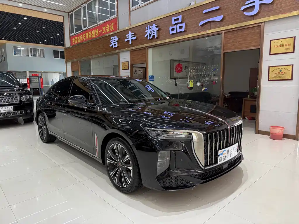 Hongqi H9 2.0 T Flagship Enjoyment Private Style