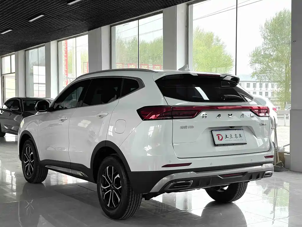 Haval H6 China Style 1.5 T Auto Urban