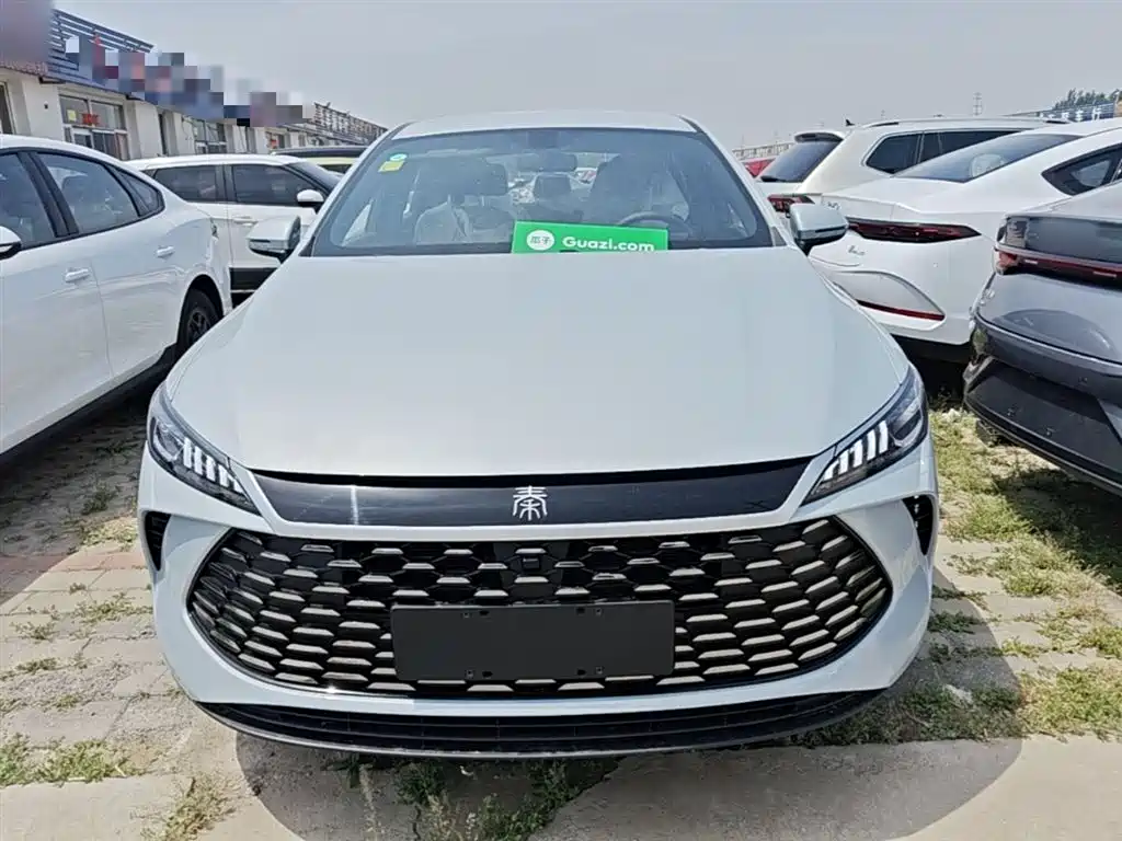 Qin PLUS DM-i Smart Drive 128 KM Progressive
