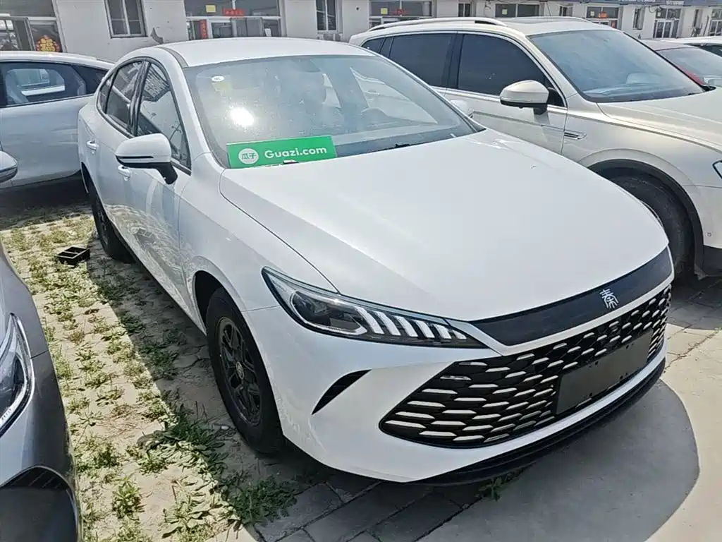 Qin PLUS DM-i Smart Drive 128 KM Progressive