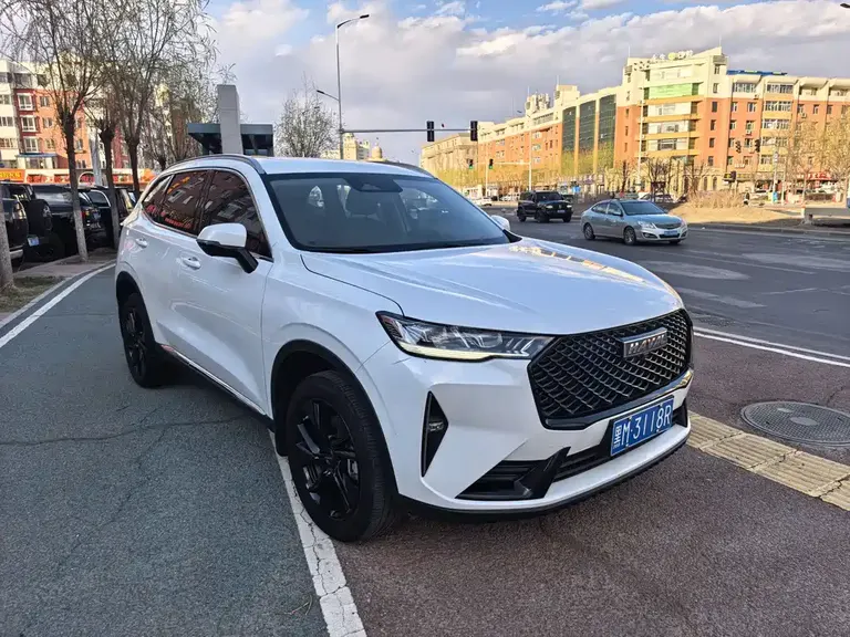 Haval H6 3 rd Gen 2.0 T Auto 2 WD Max
