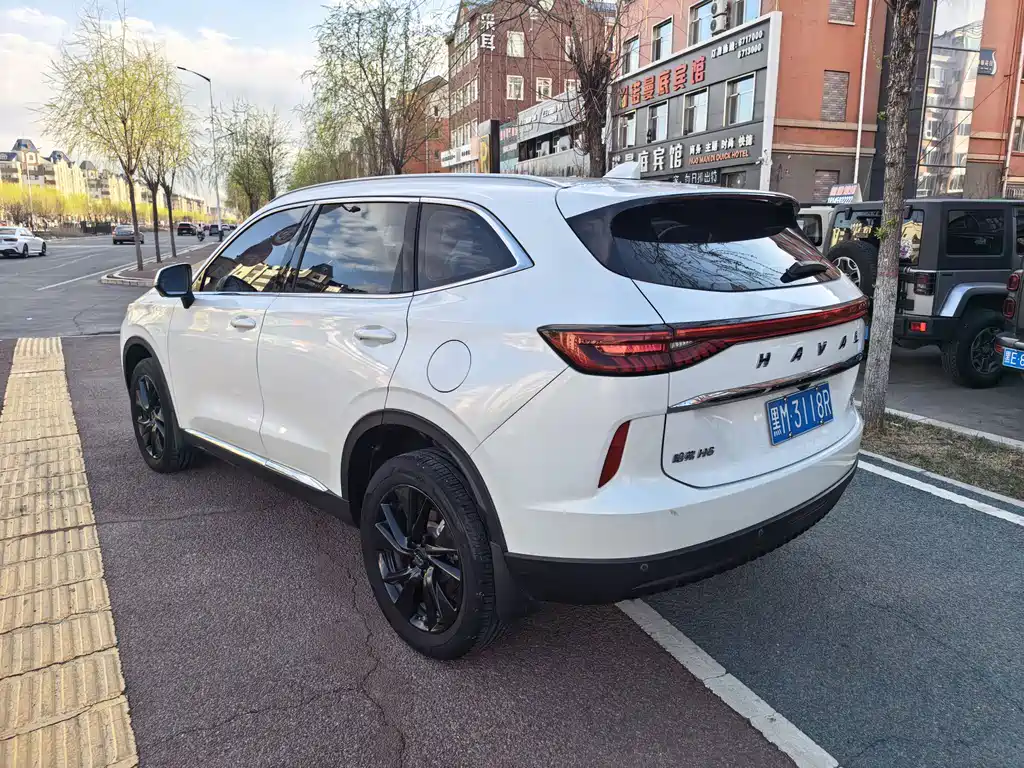 Haval H6 3 rd Gen 2.0 T Auto 2 WD Max