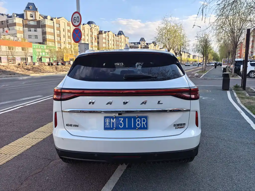 Haval H6 3 rd Gen 2.0 T Auto 2 WD Max