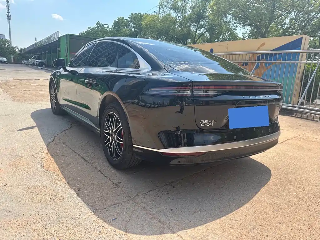 Fengyun A9 L 260 Ultra Long Range Luxury