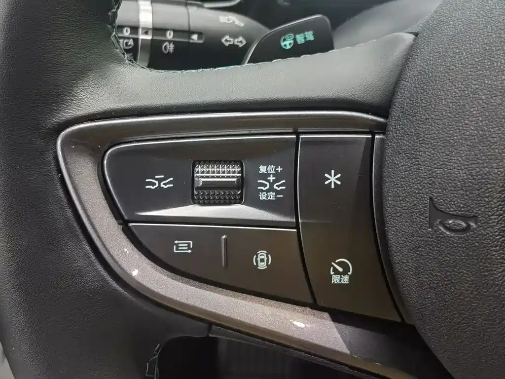 Seal 06 DM-i Smart Drive 120 KM Flagship
