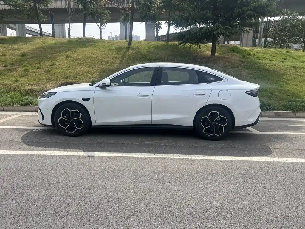 Seal 06 DM-i Smart Drive 120 KM Flagship