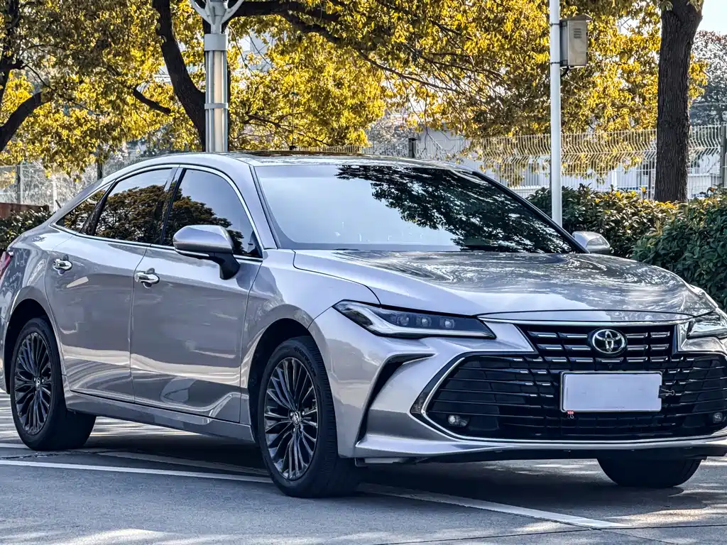 Avalon 2.0 L XLE Premium