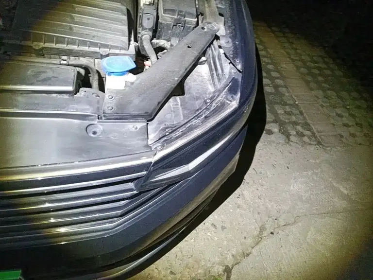 Volkswagen Magotan 330 TSI DSG Leading