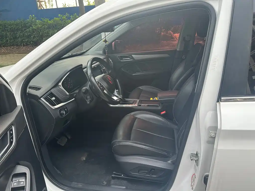 Roewe RX5 20 T 2 WD Auto Luxury