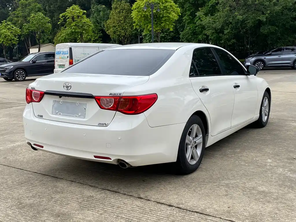 Mark X 2.5 V Demeanor Elite