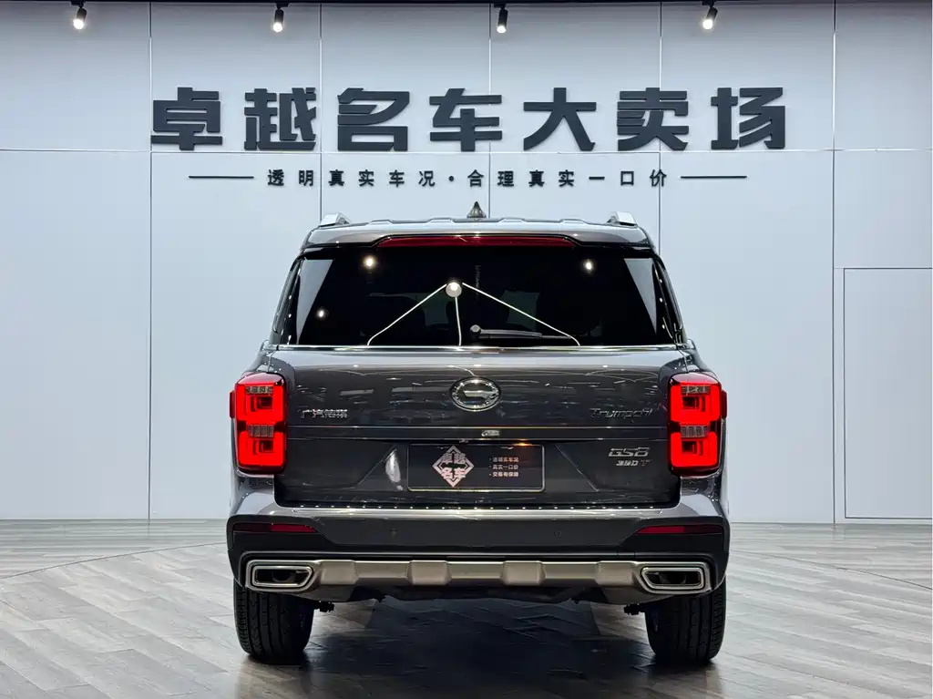 GAC Trumpchi GS8 传祺GS8 2020款 390 T 两驱豪华智联纪念版（七座）