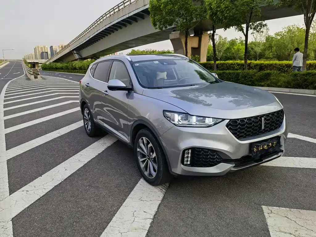 WEY VV6 魏牌 VV6 2018款 2.0 T 四驱超豪型 国V