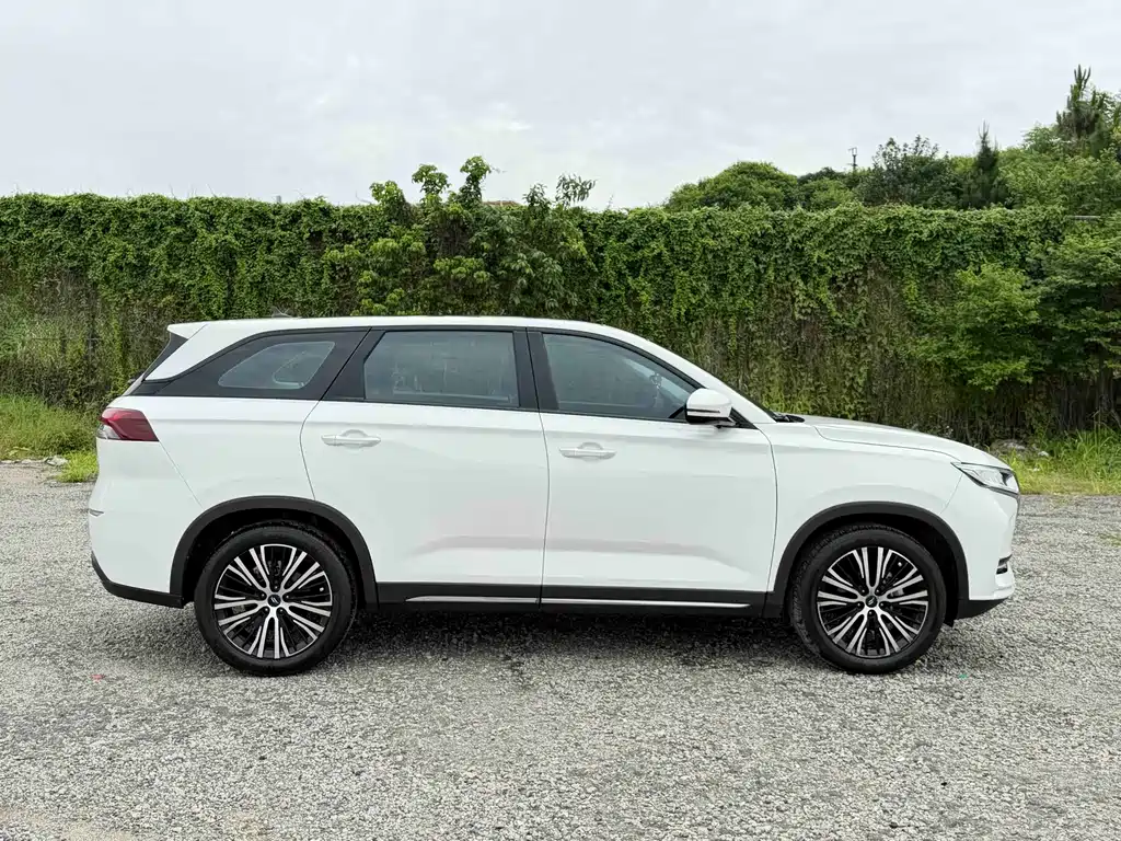 Changan Oshan X7 1.5 T Auto Luxury