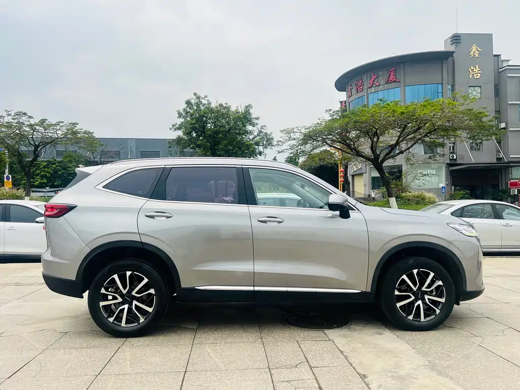 Haval H6 3 rd Gen 1.5 T Auto 2 WD Pro