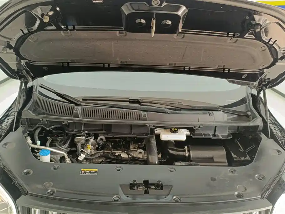 Hongqi HQ9 2.0 T Connected Flagship