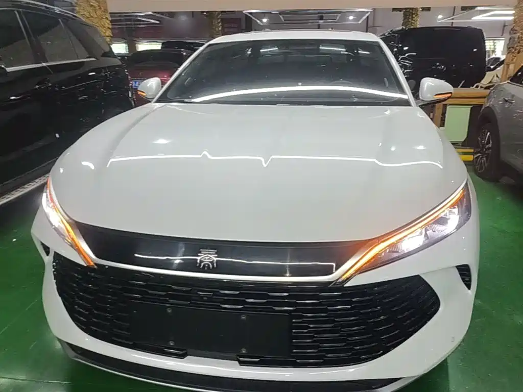 Qin L DM-i 120 KM Transcend