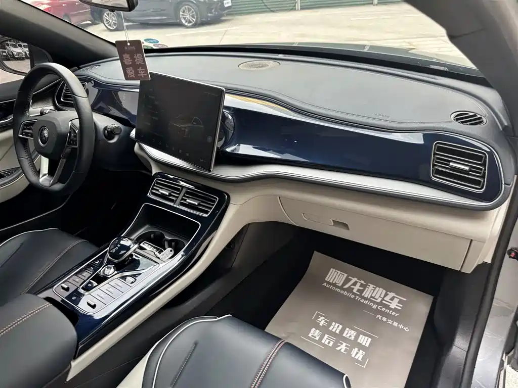 Qin PLUS DM-i 55 KM Flagship