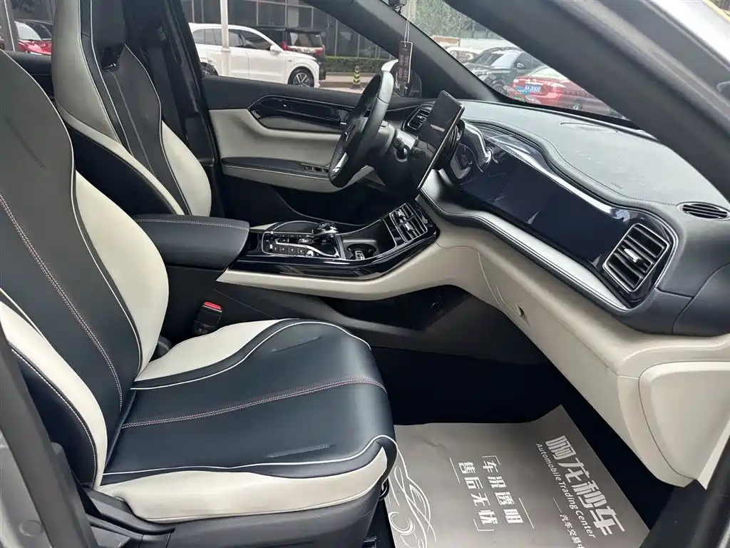 Qin PLUS DM-i 55 KM Flagship