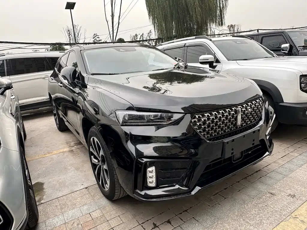 WEY VV7 2.0 T Luxury