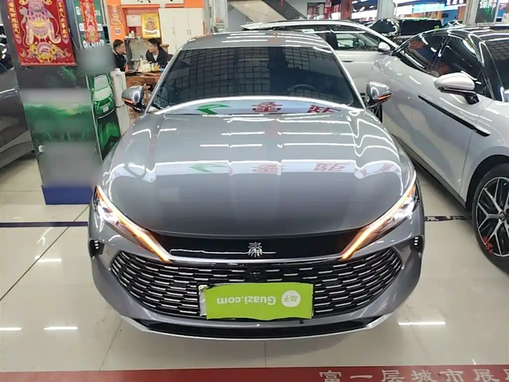 Qin L DM-i Smart Drive 80 KM Leading