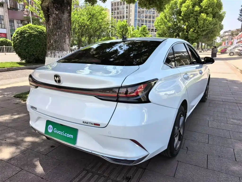 Ruicheng PLUS 1.5 T DCT Distinguished