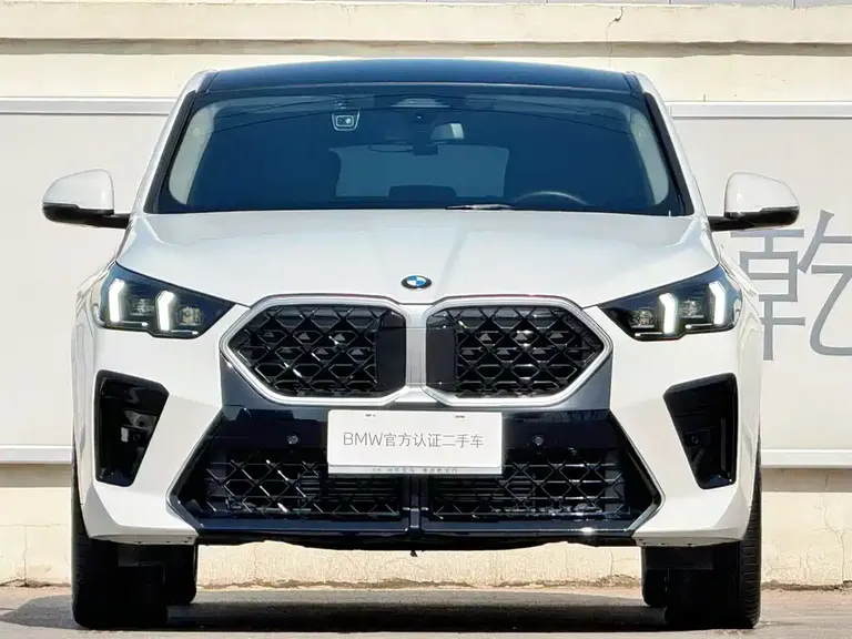 BMW X2 (Import) sDrive25 i M Sport Package