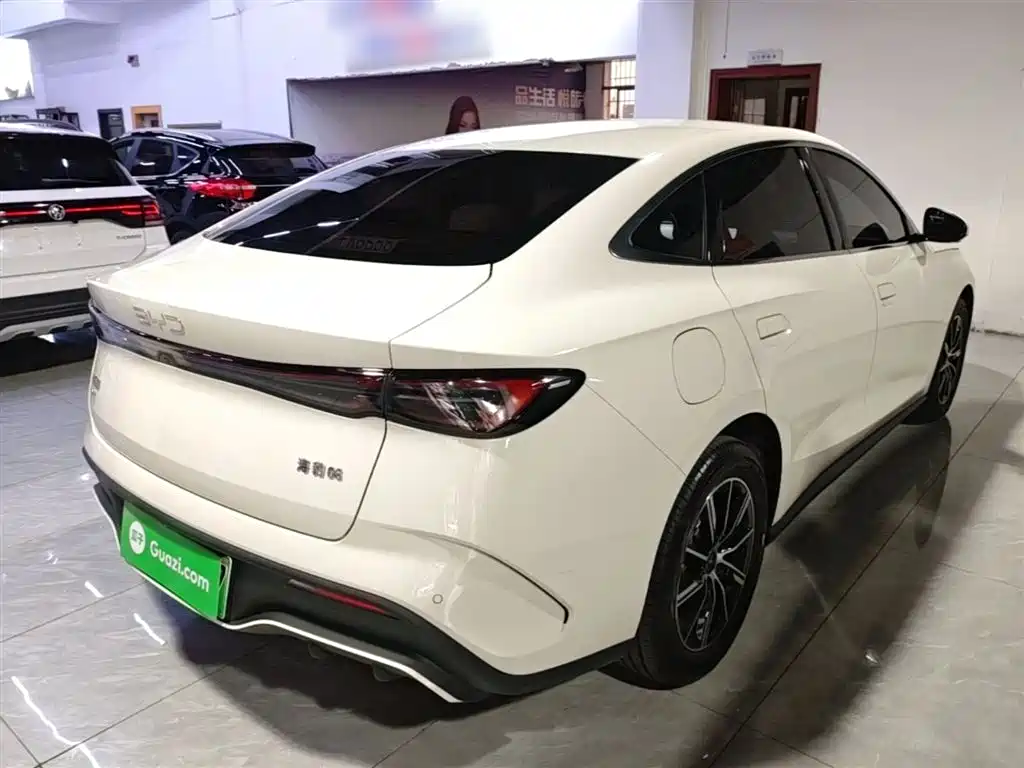 Seal 06 DM-i 80 KM Distinguished