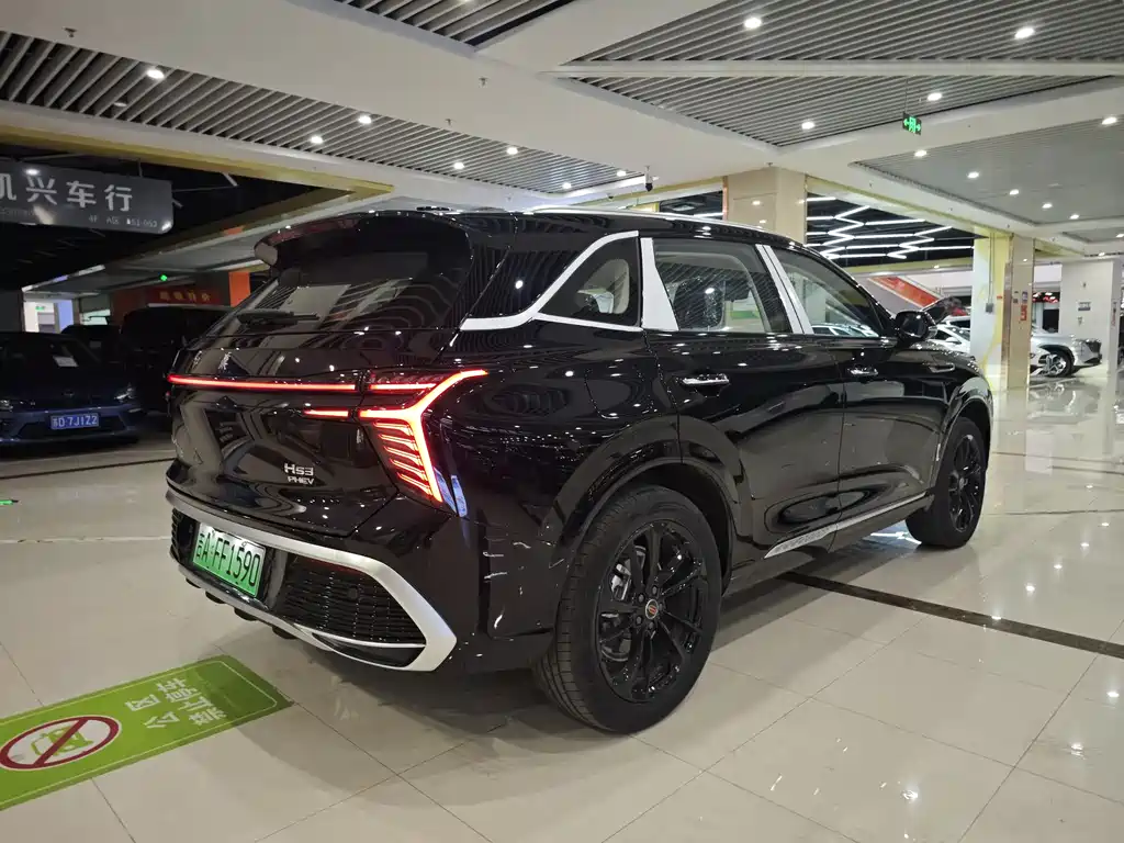 Hongqi HS3 PHEV 117 km Power Action