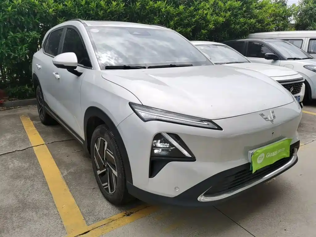 Wuling Starlight S 130 km Flagship