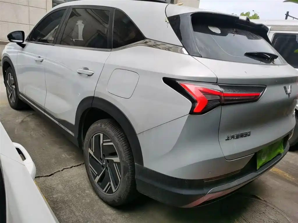 Wuling Starlight S 130 km Flagship