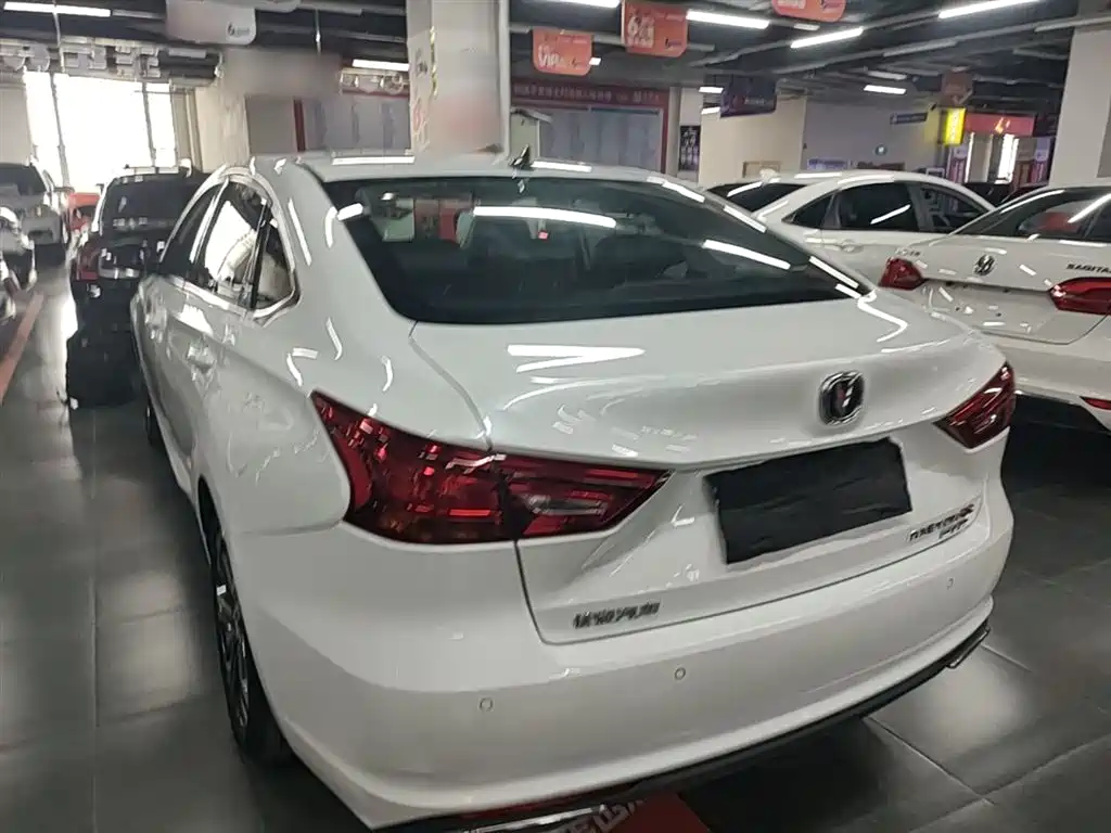 Ruicheng CC Blue Whale 1.5 T DCT Luxury