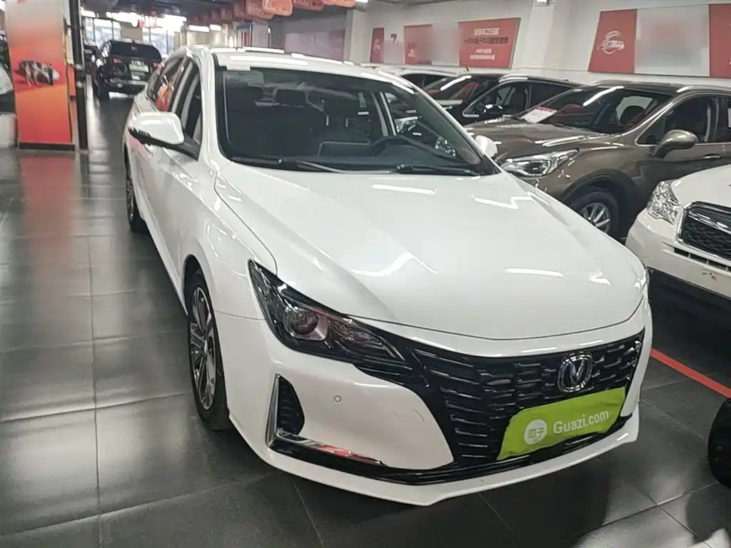 Ruicheng CC Blue Whale 1.5 T DCT Luxury