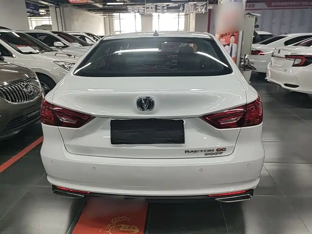 Ruicheng CC Blue Whale 1.5 T DCT Luxury