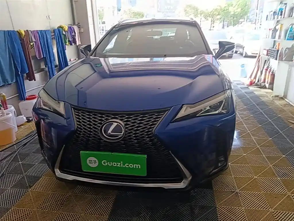 Lexus UX 雷克萨斯UX 2019款 260 h F SPORT版 国VI