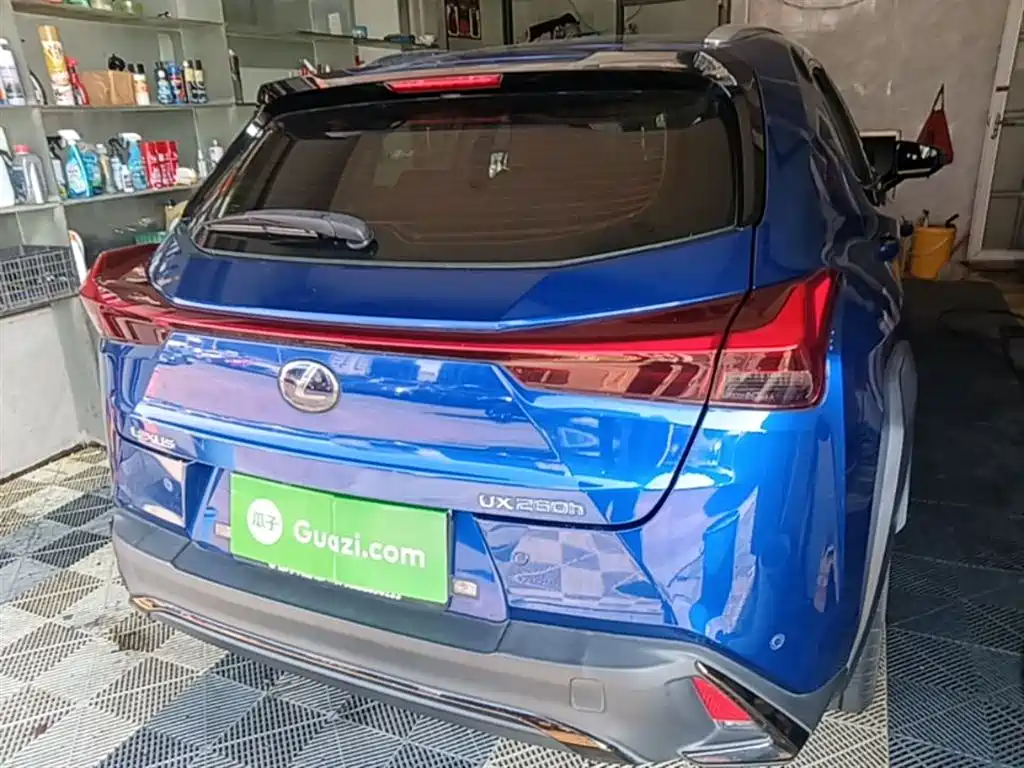 Lexus UX 雷克萨斯UX 2019款 260 h F SPORT版 国VI