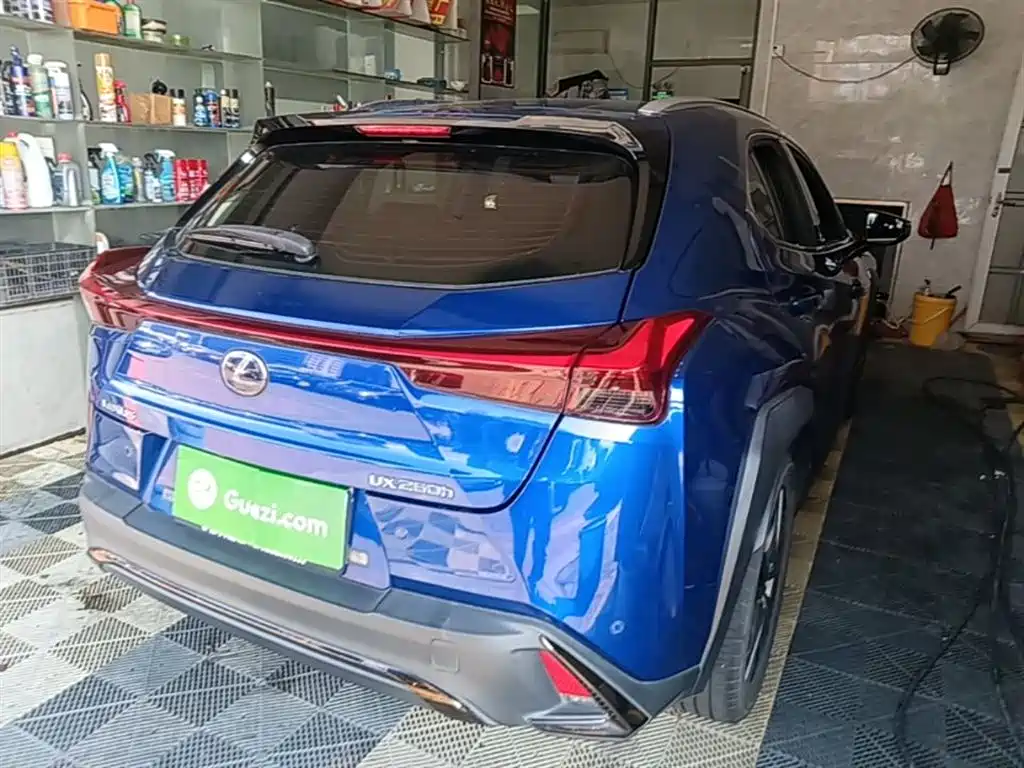 Lexus UX 雷克萨斯UX 2019款 260 h F SPORT版 国VI