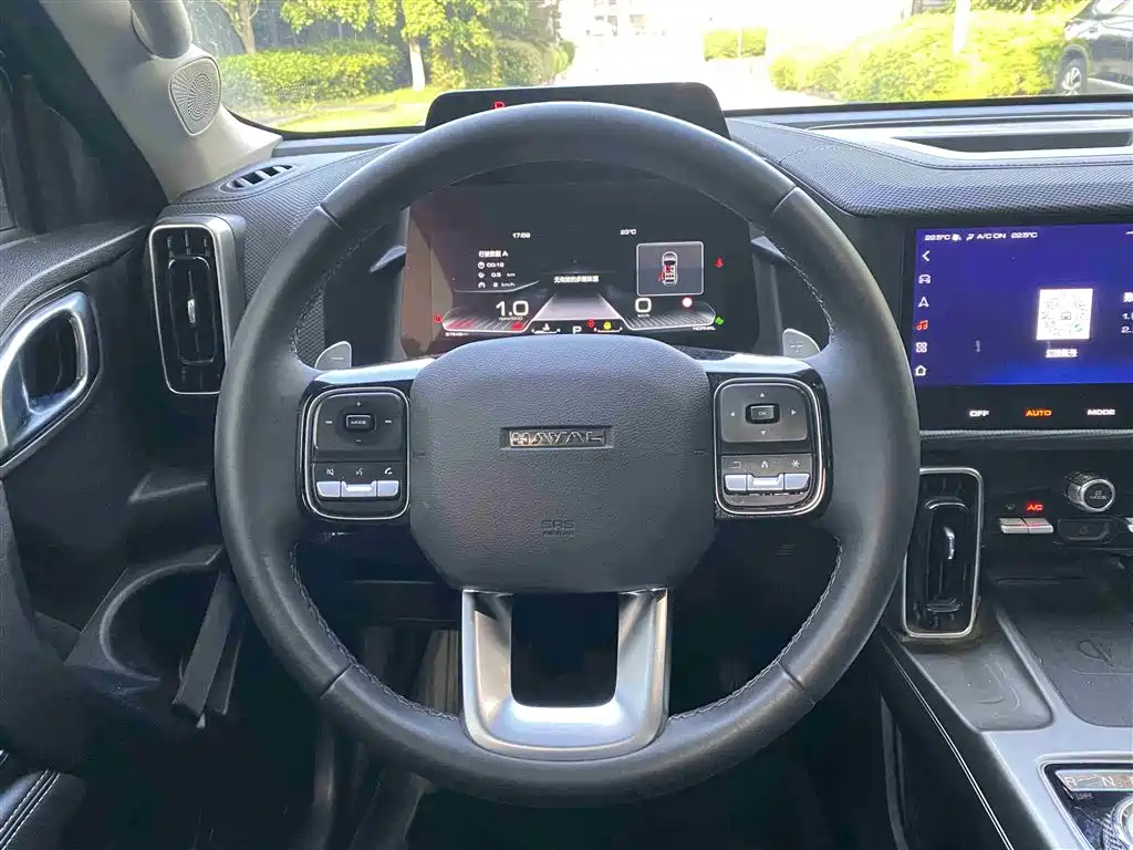 Haval Dargo 2.0 T DCT Brilliance Country Dog